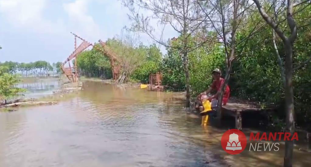 Mina Mangrove