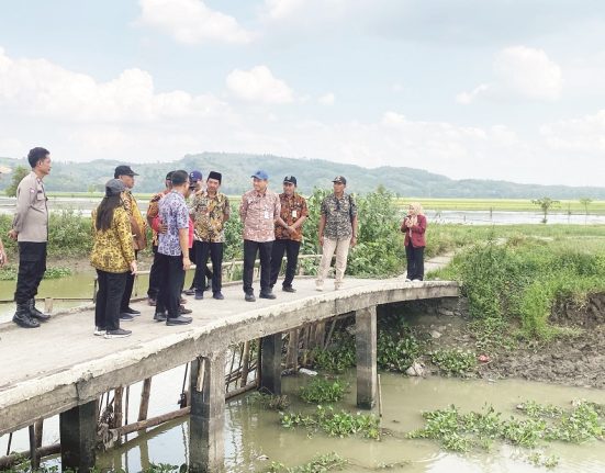 Bupati Kudus Sam’ani Intakoris (berbatik merah muda) saat memantau progres pengerukan Sungai Londo Desa Wonosoco, Kecamatan Undaan, Kudus, Jawa Tengah, pada Selasa (1/7/2025). (Lingkar Media Group Network)