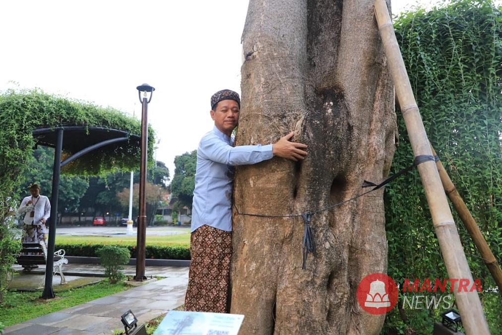 Bupati Kudus Sam’ani Intakoris memeluk pohon Pule di halaman depan Pendopo Kabupaten Kudus, Jawa Tengah. (Lingkar Media Group Network)