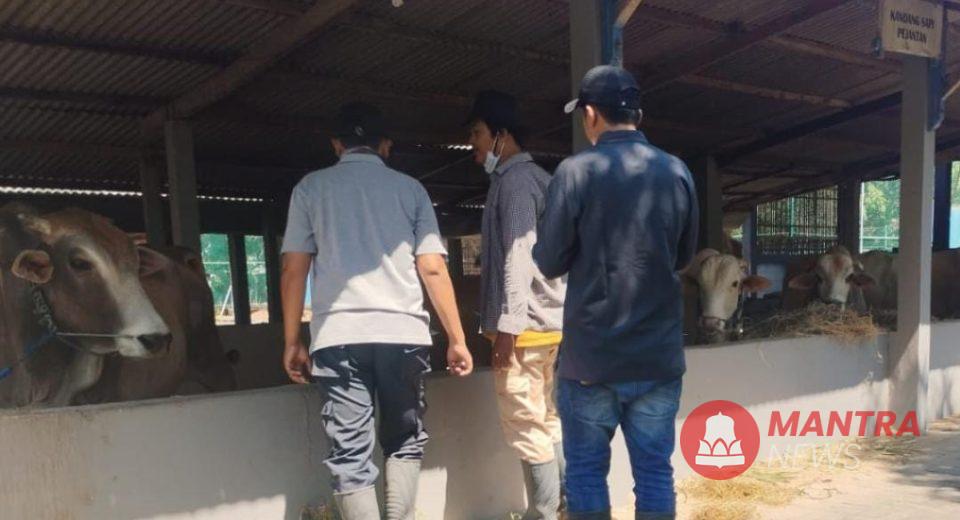 Dispertan Pati