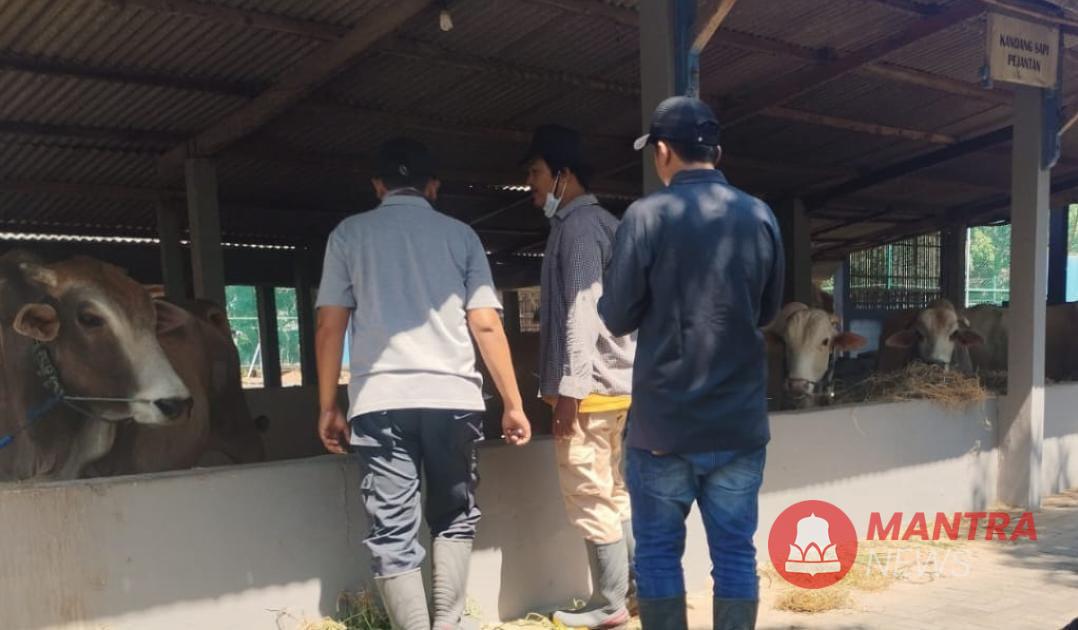 Dispertan Pati