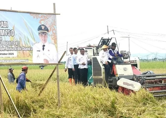 DPRD Pati Apresiasi Panen Padi 10 Ton/Ha di Margorejo, Dorong Subsidi Pupuk Petani 3 Jajaran DPRD Pati ikut panen padi di Kecamatan Margorejo, Kamis (30/10/2025).
