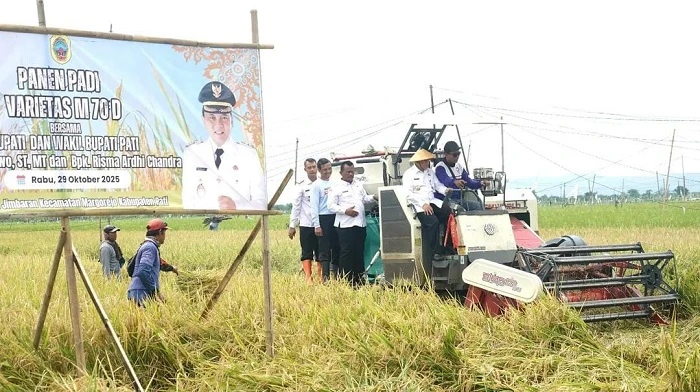 DPRD Pati Apresiasi Panen Padi 10 Ton/Ha di Margorejo, Dorong Subsidi Pupuk Petani 1 Jajaran DPRD Pati ikut panen padi di Kecamatan Margorejo, Kamis (30/10/2025).
