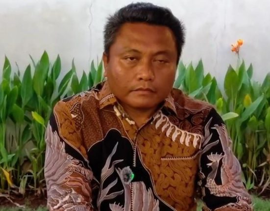 pemilik tambang